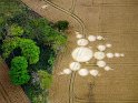 Crop Circles 16